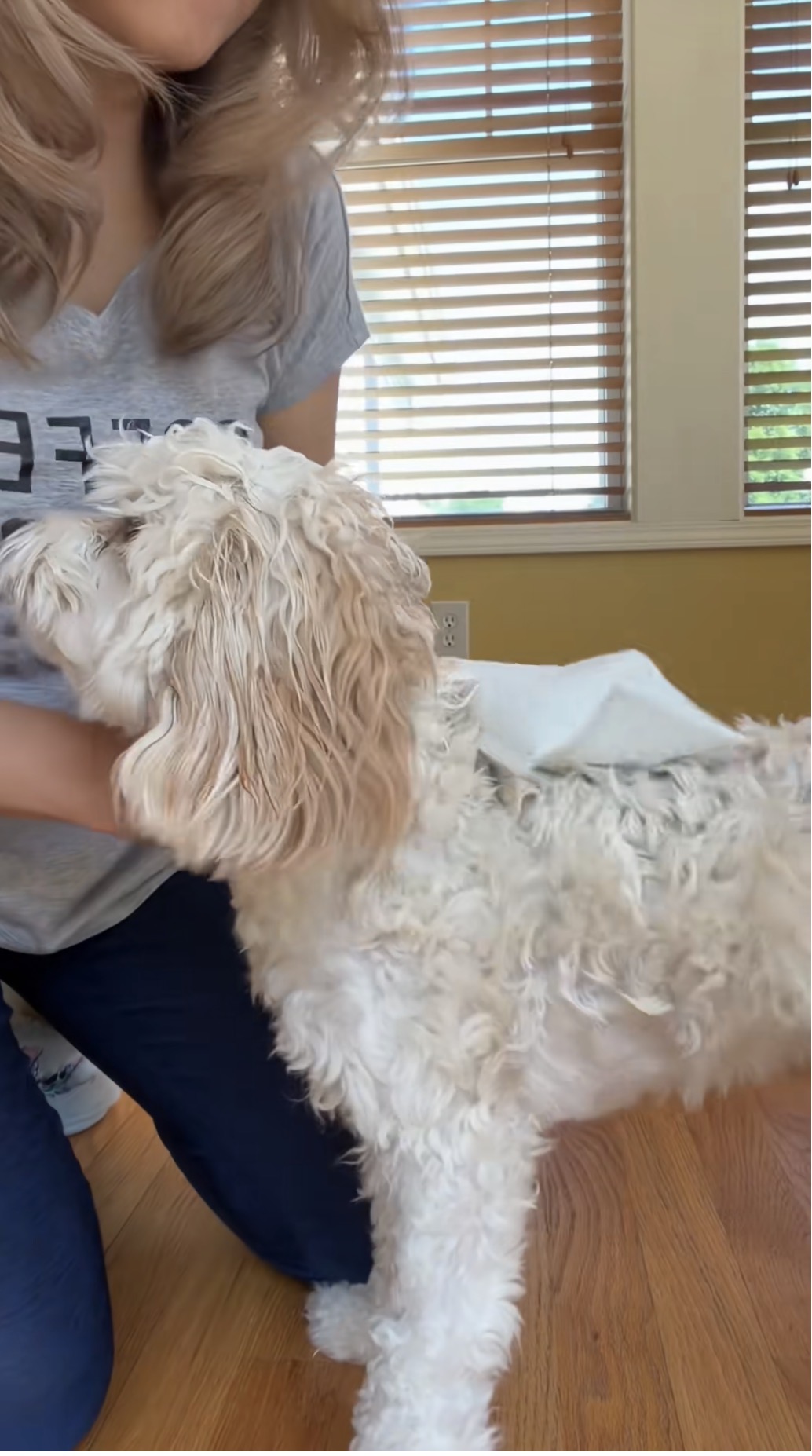 Dog Shampoo Mitt